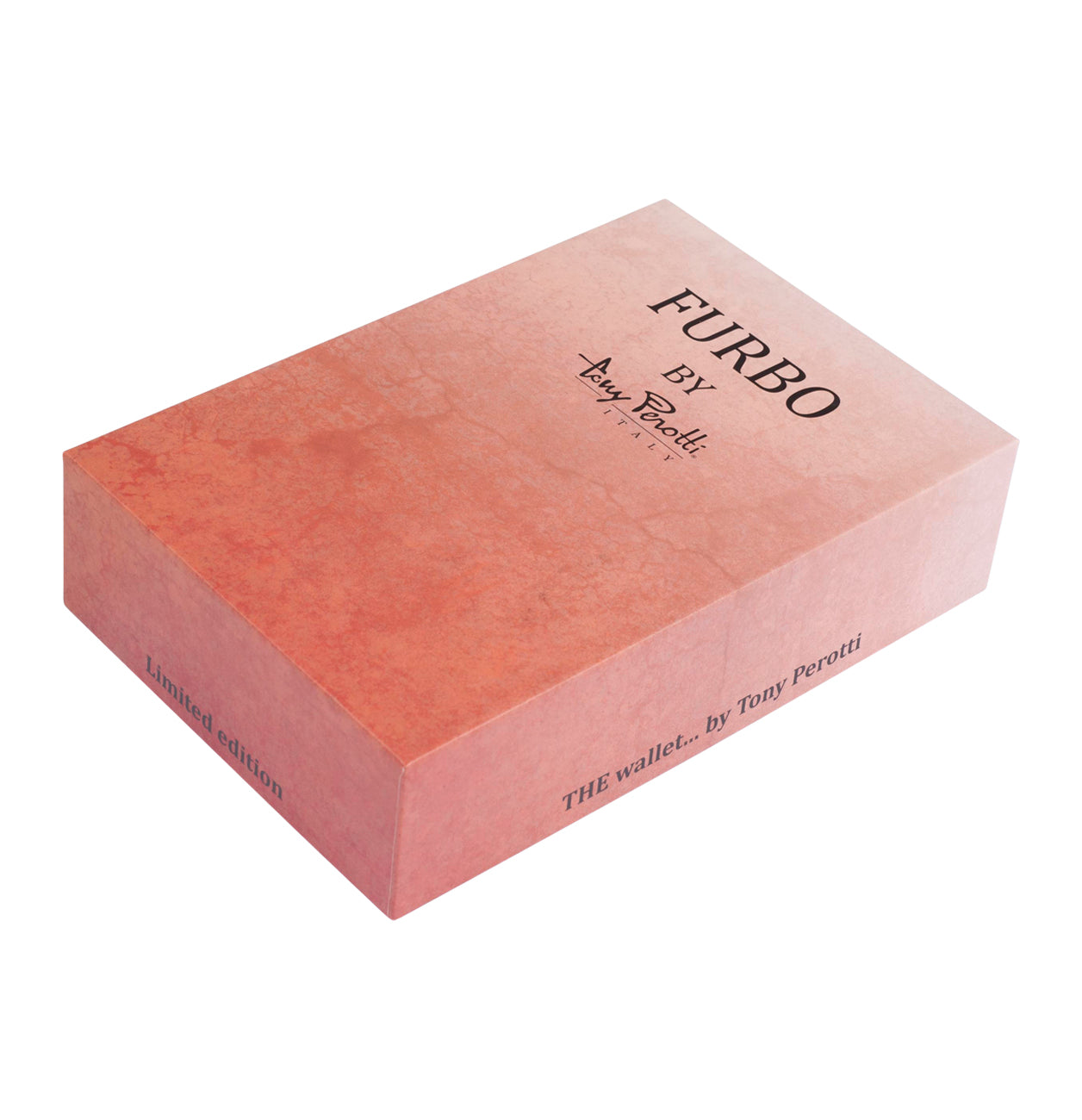 COIN Vernazza Dark Brown with a gift box